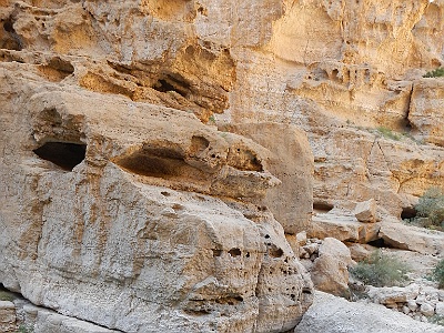 110 Oasis wadi shab